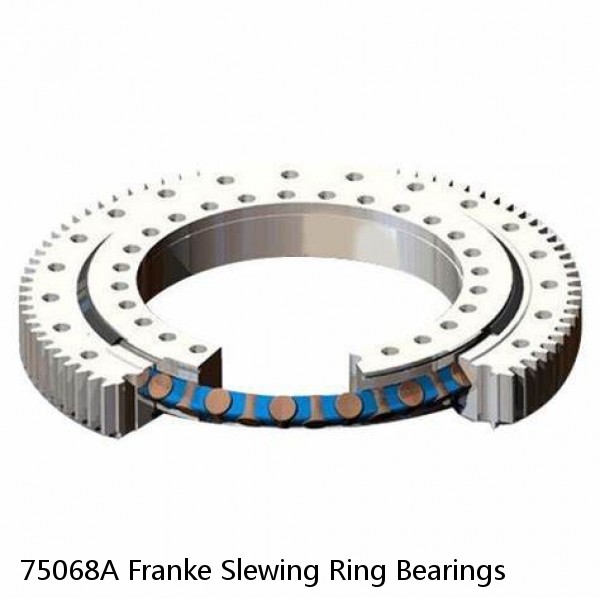 75068A Franke Slewing Ring Bearings